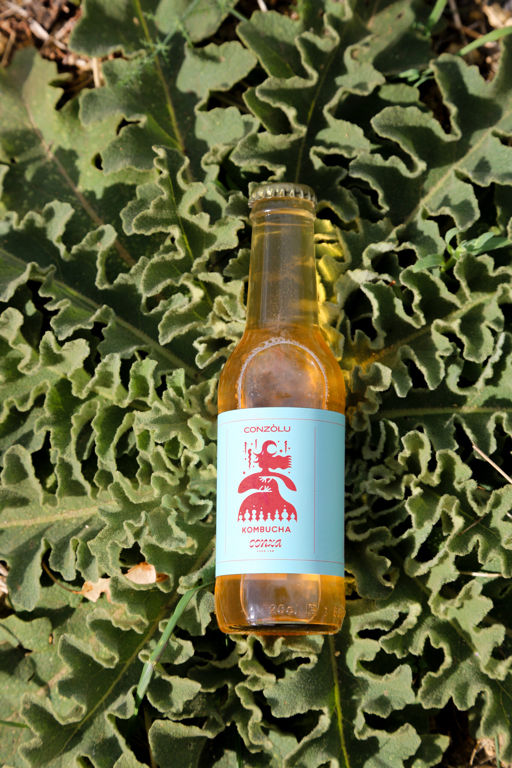Bottiglia ambrata di kombucha agli agrumi e bicchiere in cristallo con effervescenza verde zolfo